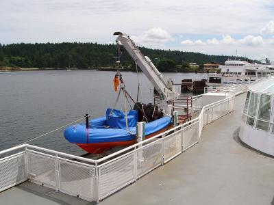Rescue boat dual purpose davit