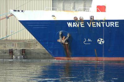 Wave Venture at Ogden Point Breakwater on Dallas Road