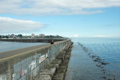 Dallas Road Breakwater