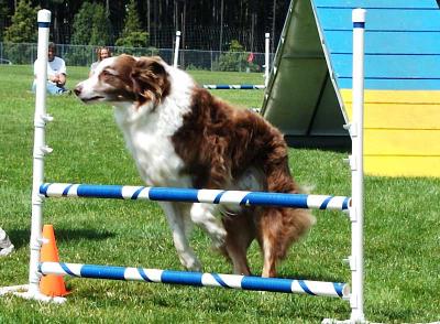 Vancouver Island Fair