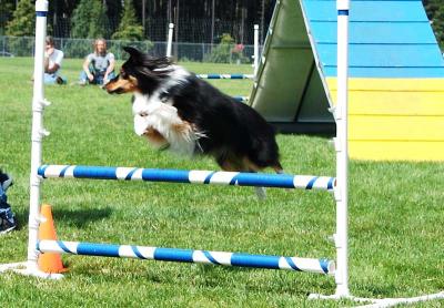 Vancouver Island Fair