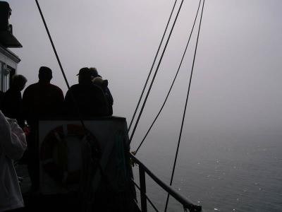 Yes, it really is foggy
