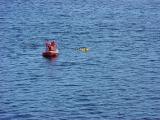 Man overboard drill