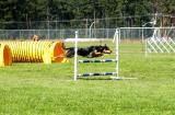 Vancouver Island Fair