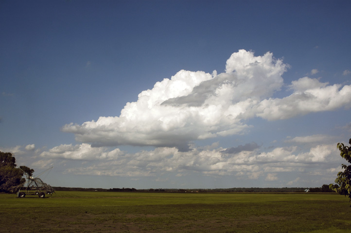 ds20050827_0067aw Field with Clouds.jpg