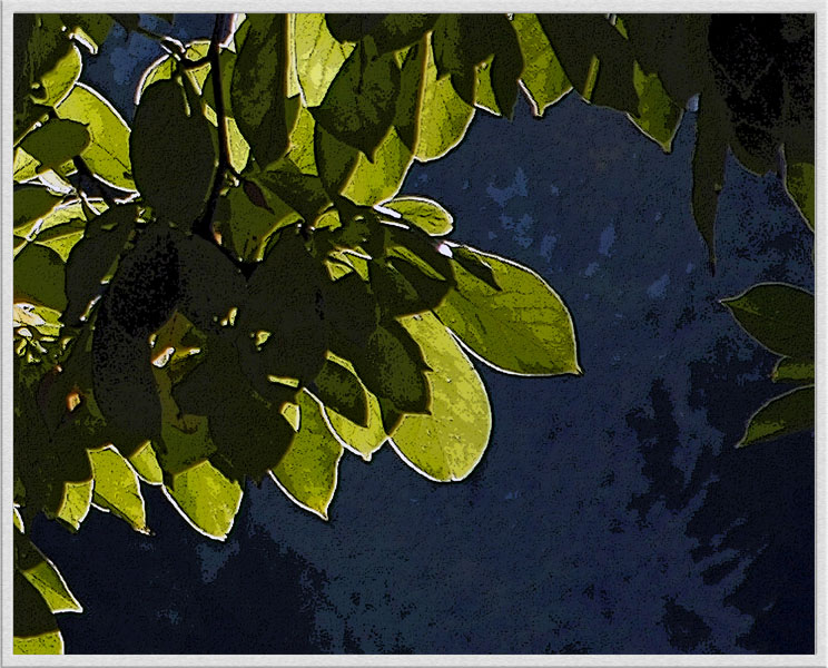 10/17/05 - Abstract Leaves<br><font size=3>ds20051017_0002a1wF Leaves.jpg</font>