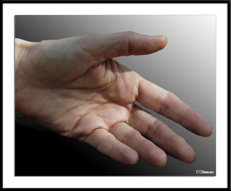 ds20050618_0189a1wF hand 1.jpg
