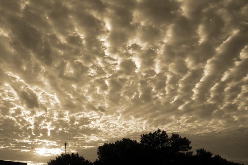 8/3/05 - Nebraska Morn<br><font size=3>ds20050801_0008a2w Nebraska Morn.jpg</font>