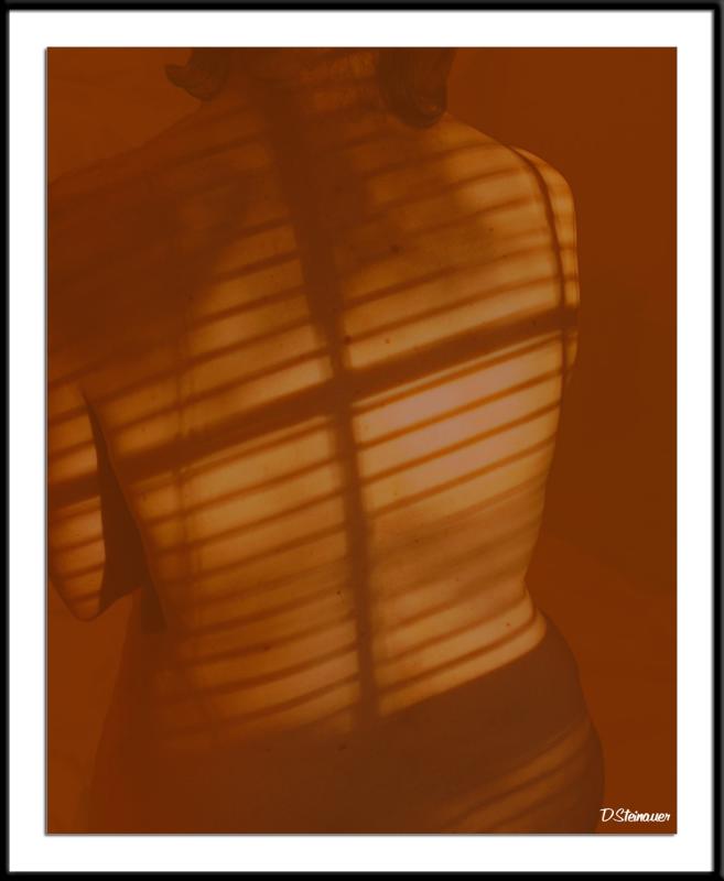 8/10/05 - Ive got your back<br><font size=3>ds20050618_0251a1wF Nude Back.jpg</font>