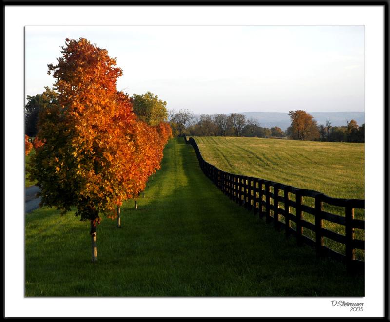11/5/05 - End of the Day<br><font size=3>ds20051105a_0206a1wF Horse Country Fall.jpg</font>