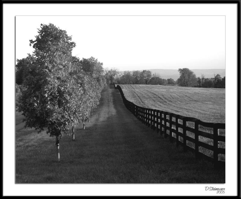 ds20051105a_0206a3wF Horse Country Fall.jpg