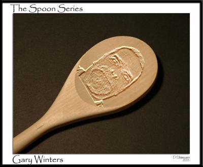 The Spoon Series