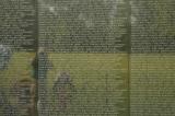 ds20050604_0191w.jpg