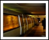 6/5/05 - Red Line to Shady Grove<br><font size=3>ds20050604a_0039awF Metro.jpg</font>