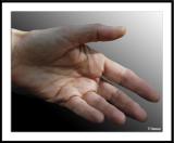 ds20050618_0189a1wF hand 1.jpg