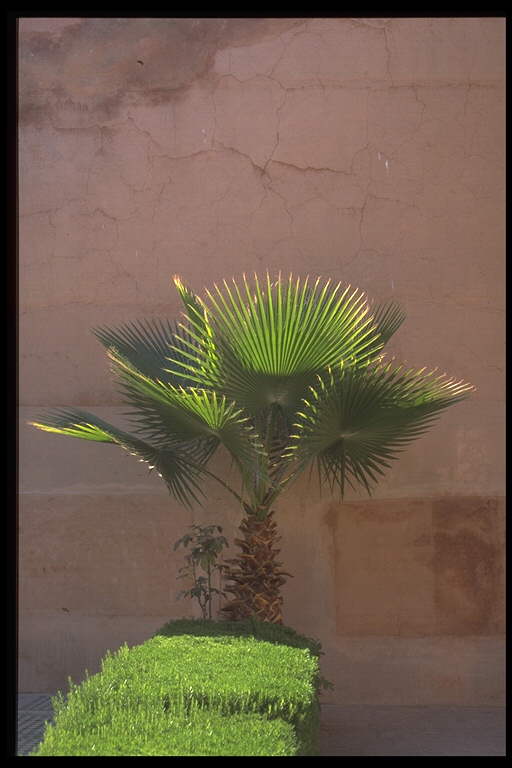 Saadian Tombs