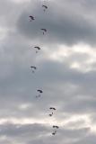 Falcons Parachute Team