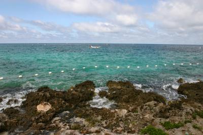 IMG_4847.JPG