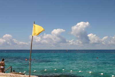 IMG_4856.JPG