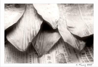 Bamboo leaves, rice, zongzi