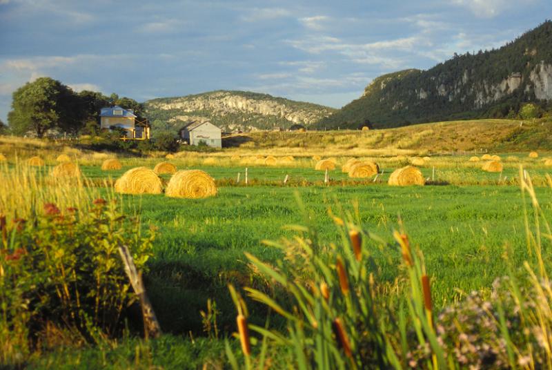 KAMOURASKA