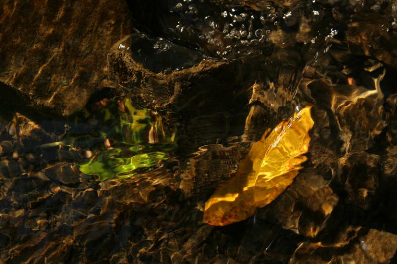 EAU FOND