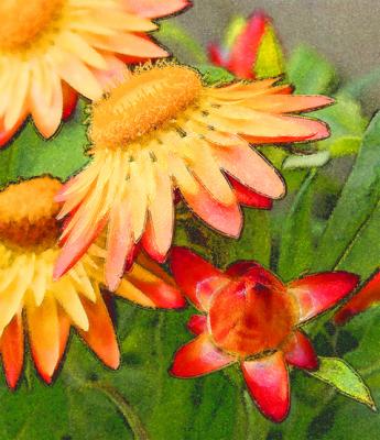 FLOWER