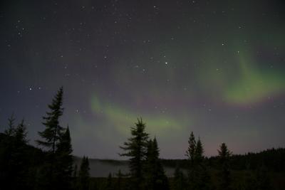 v3/45/527445/3/48575859.AuroraPJ15.jpg