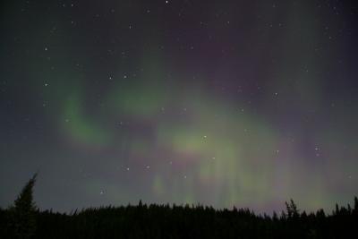 v3/45/527445/3/48575882.AuroraPJ18.jpg