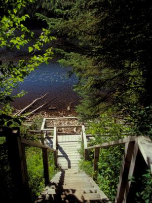 LAC SAULT / PARC AIGUEBELLE / Abitibi