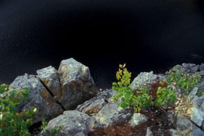 Lac La Haie / PARC AIGUEBELLE / Abitibi