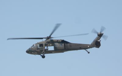 v3/45/598445/3/49656319.UH60NDANG1.jpg