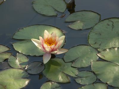 PICT0360.jpg