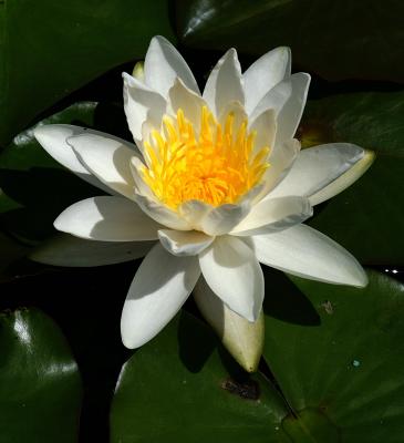 PICT0741a.jpg