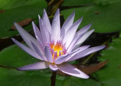 PICT4968a.jpg