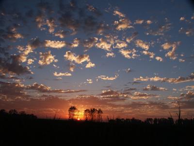 PICT0013.jpg