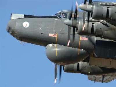 v3/45/598445/3/50564303.AvroShackletonCloseup.jpg
