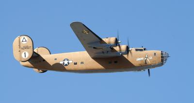 v3/45/598445/3/50564309.B24DiamondLilb.jpg