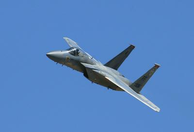 F 15 Eagle a.jpg
