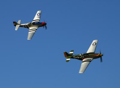 Twin Mustangs.jpg