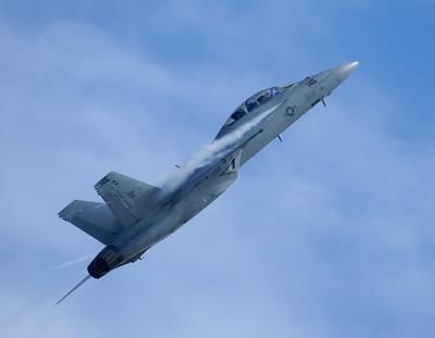 F18F Super Hornet A.jpg