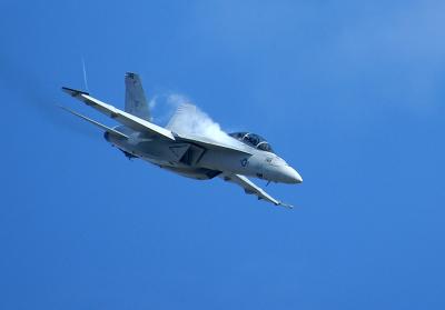 F18F Super Hornet B.jpg