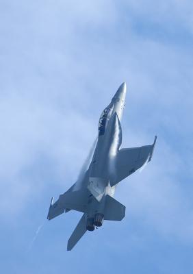 F18F Super Hornet D.jpg