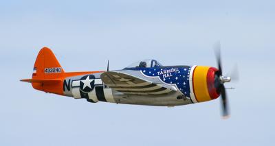 P 47 Thunderbolt Tarheel Hal.jpg