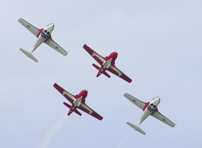 Snowbirds 4 ship 2 reverse.jpg