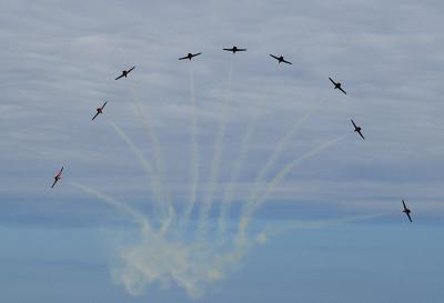Snowbirds Burst.jpg