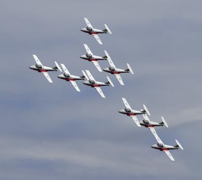 Snowbirds Gaggle A.jpg