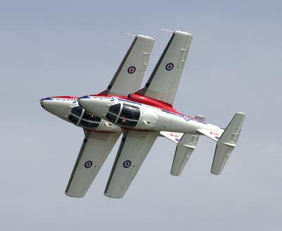 Snowbirds rolling pair.jpg