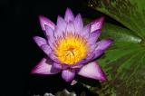 PICT0738.jpg