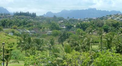 Hawaiian Neighborhood